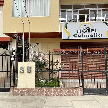 Hotel Calmelia Πιούρα Εξωτερικό φωτογραφία