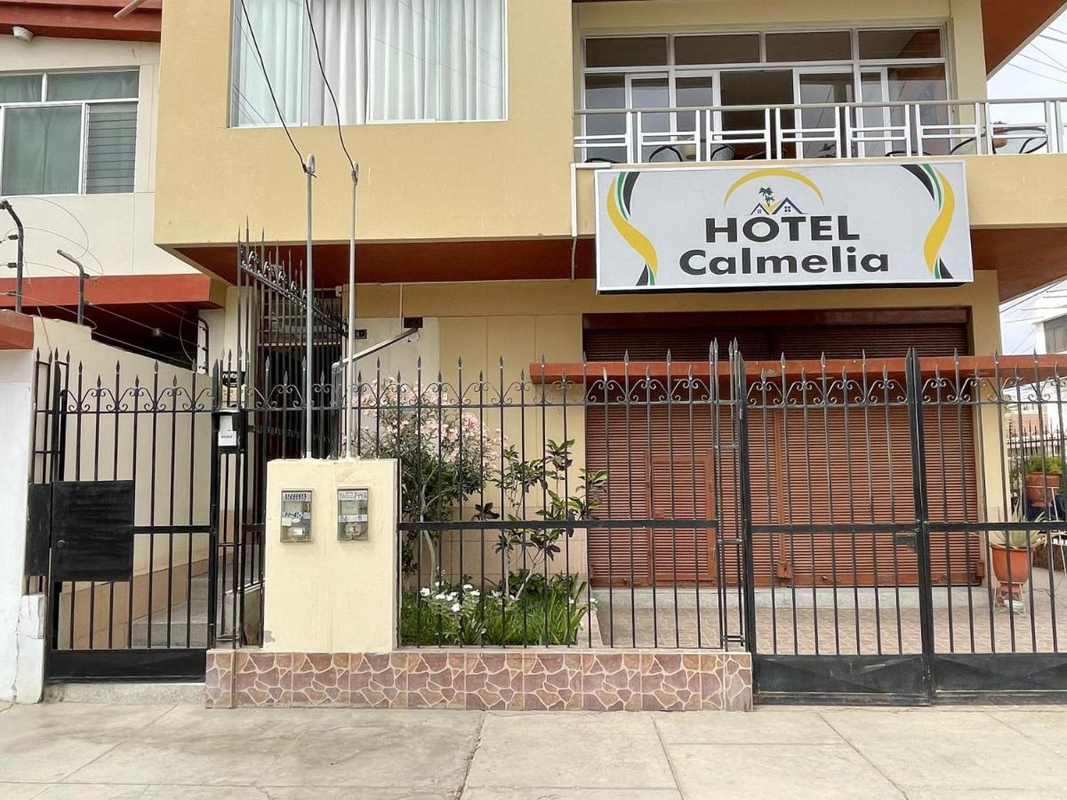 Hotel Calmelia Πιούρα Εξωτερικό φωτογραφία
